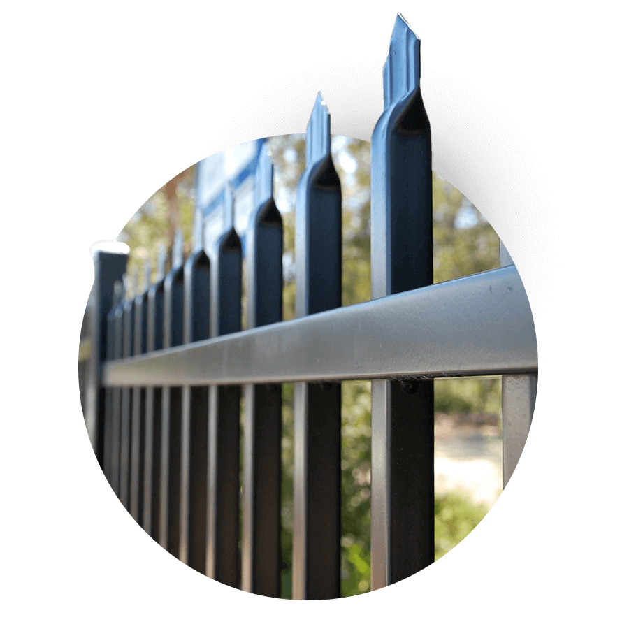 Bluedog Fences Feature