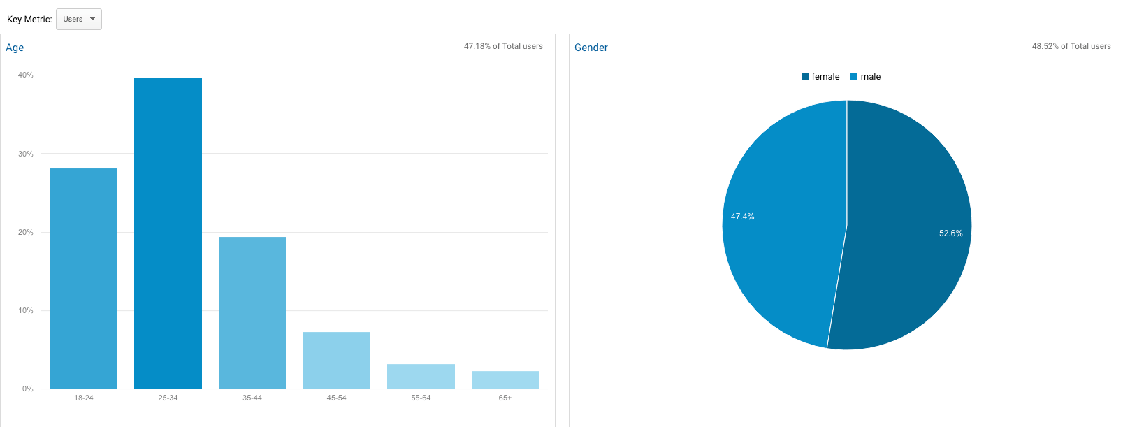 Google Analytics Demographic Report